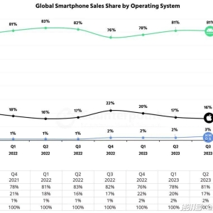 自研OS：中国智能手机品牌的战略选择与市场挑战