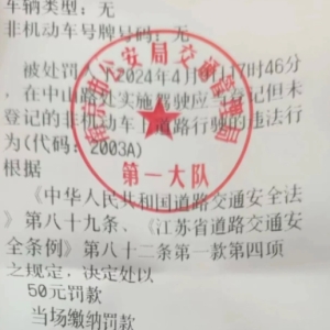 南京市民自行车无牌罚款事件：舆情分析与法律解读